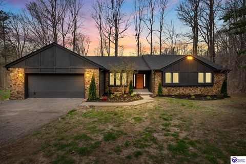 328 Thicket Drive, Elizabethtown, KY 42701 - #: HK2601268