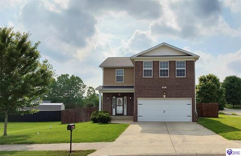 602 Napa Valley Court, Vine Grove, KY 40175 - #: HK25002180