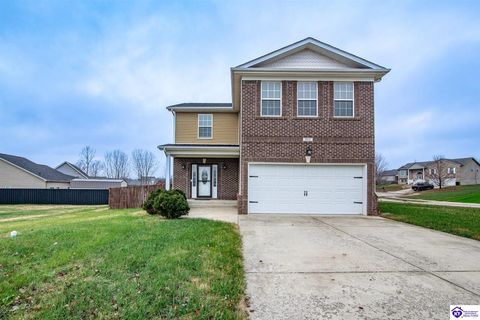 602 Napa Valley Court, Vine Grove, KY 40175 - #: HK25002180