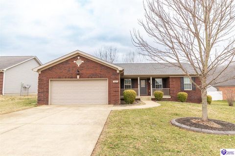 503 Concord Grape Way, Vine Grove, KY 40175 - #: HK2600764