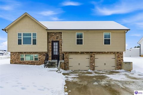 125 Sawgrass Avenue, Vine Grove, KY 40175 - #: HK2600361