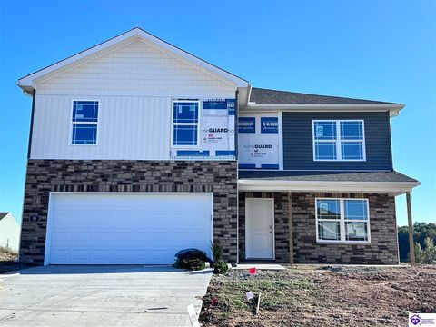 96 Ellis Park, Elizabethtown, KY 42701 - #: HK25004532