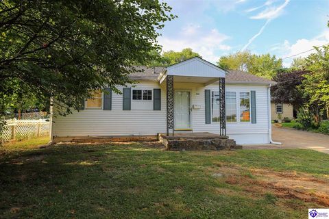 709 Otter Creek Road, Vine Grove, KY 40175 - #: HK25004722