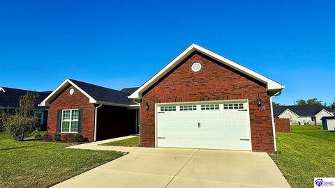119 Mt. Moriah Boulevard, Rineyville, KY 40162 - #: HK25004389