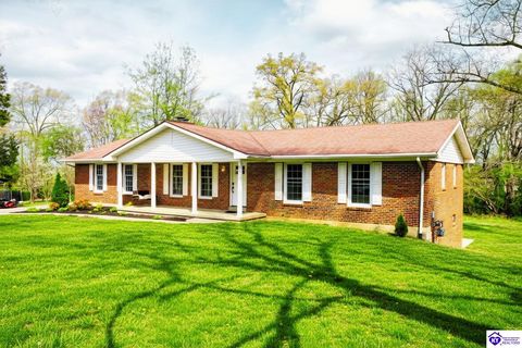210 Alexander Drive, Elizabethtown, KY 42701 - #: HK2601277