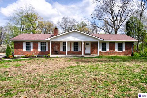210 Alexander Drive, Elizabethtown, KY 42701 - #: HK2601277