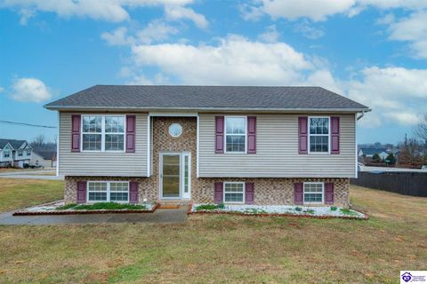 1693 Elm Road, Vine Grove, KY 40175 - #: HK2600876