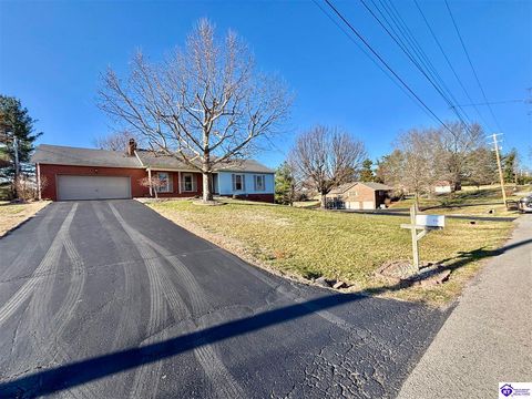 213 Wildflower Drive, Campbellsville, KY 42718 - #: HK2600757