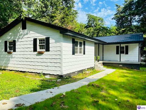 230 Ghen Road, Brandenburg, KY 40108 - #: HK2600024