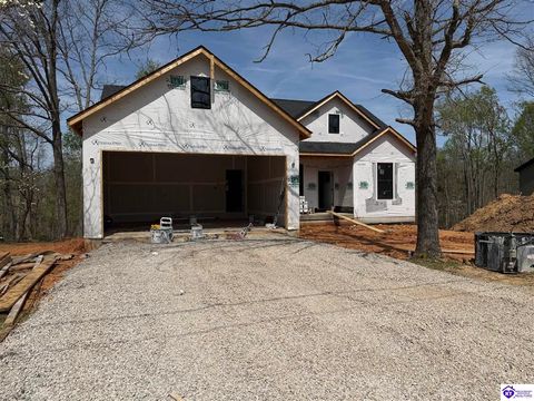 220 Quail Run, Brandenburg, KY 40108 - #: HK2601378