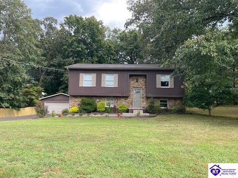3920 S Dixie Highway, Elizabethtown, KY 42701 - #: HK25003857