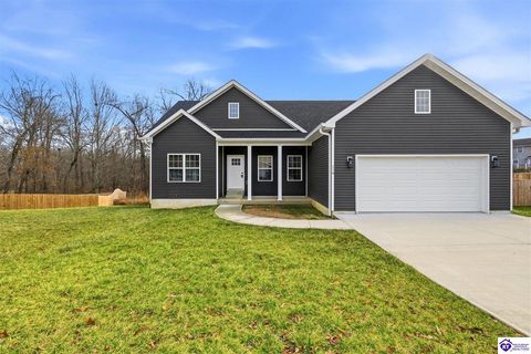116 Magnolia Court, Vine Grove, KY 40175 - #: HK2600627