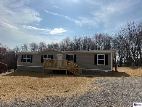 143 Boone Road, Rineyville, KY 40162 - #: HK25000962