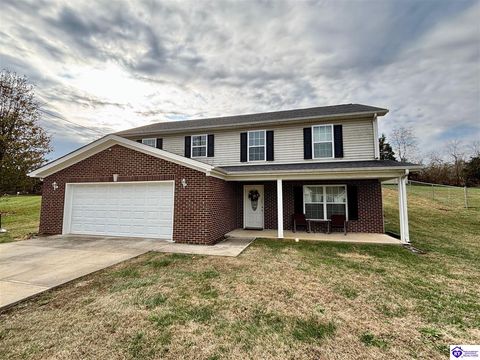 350 School Side Drive, Brandenburg, KY 40108 - MLS#: HK25001730