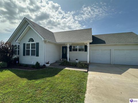 64 Probus Road, Leitchfield, KY 42754 - #: HK25002858