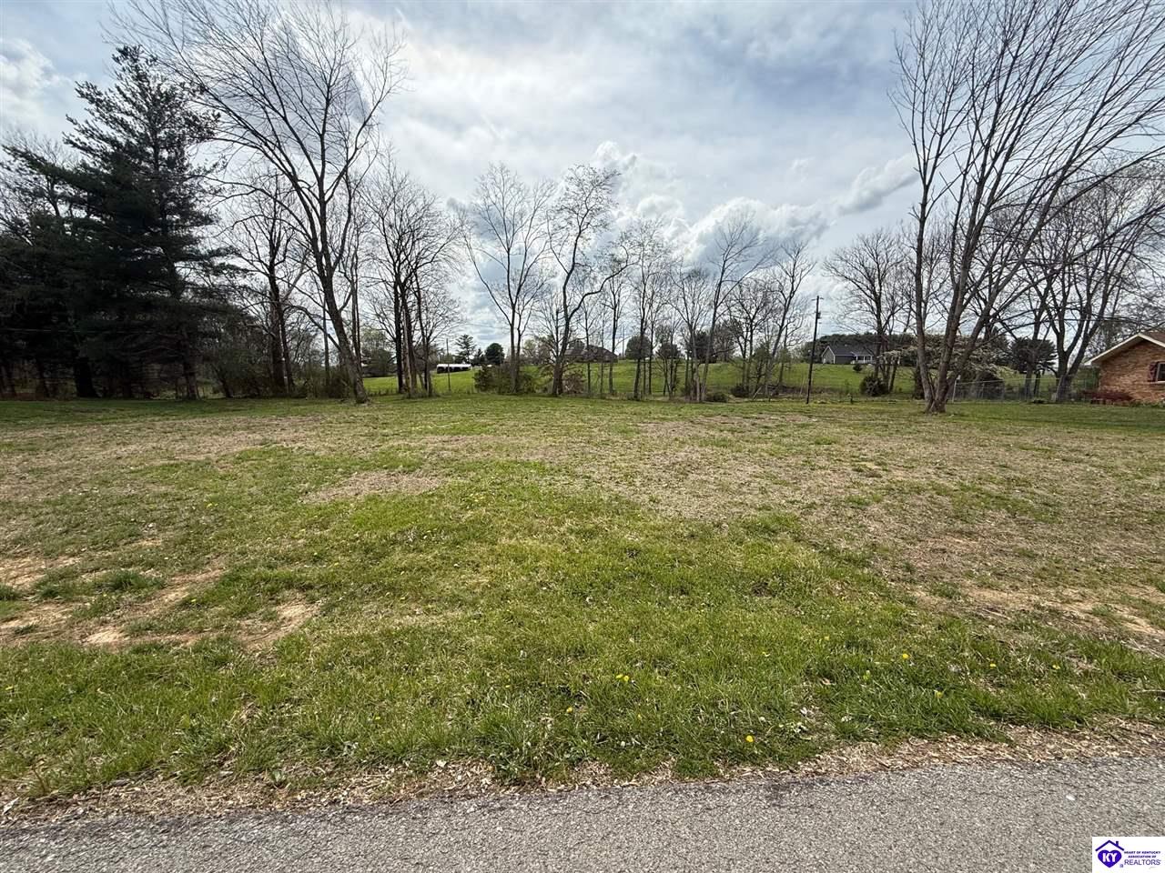 LOT 26 Timothy Trail - Photo 4