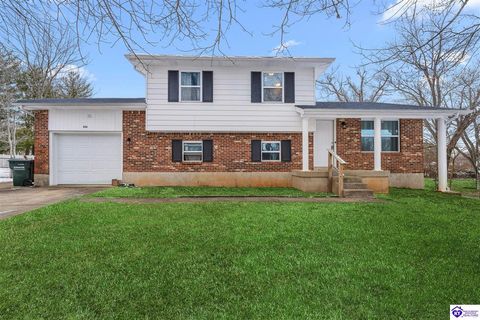 533 Wyandot Court, Radcliff, KY 40160 - MLS#: HK25002010
