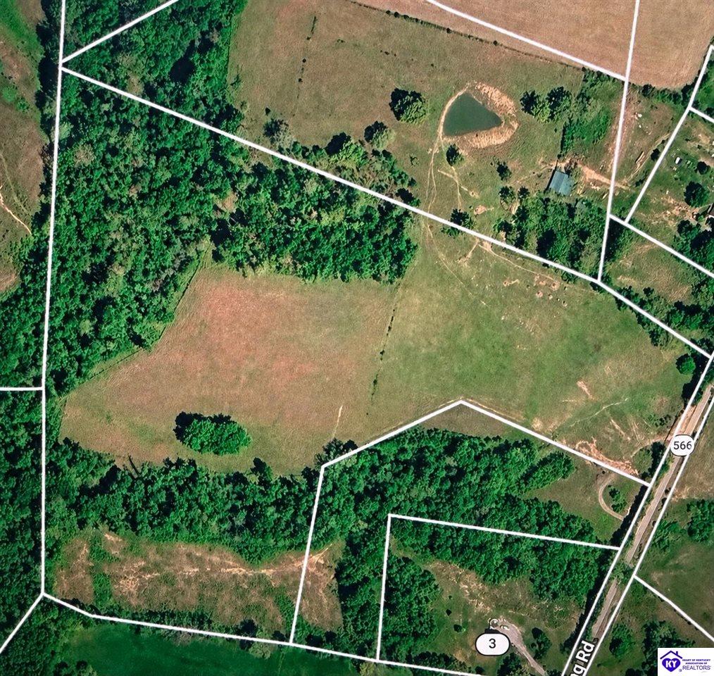 29.47 acres Gumm Springs Rd - Photo 2