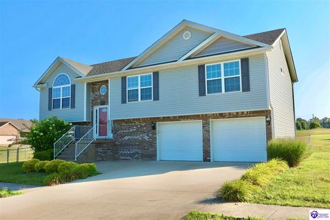 100 Shelly Drive, Vine Grove, KY 40175 - #: HK24001248