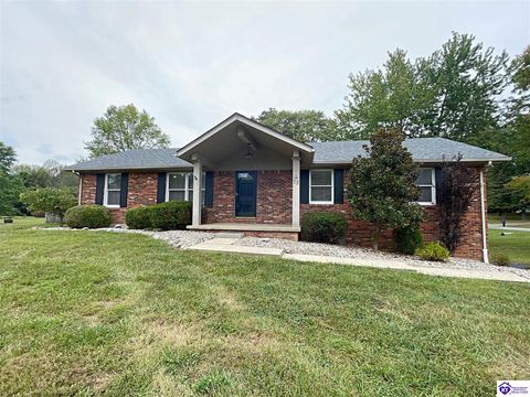 22 W Rainbow Way, Elizabethtown, KY 42701 - MLS#: HK25000871