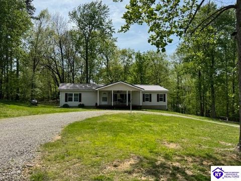 51 Apache Trace, Falls Of Rough, KY 40119 - #: HK24001514