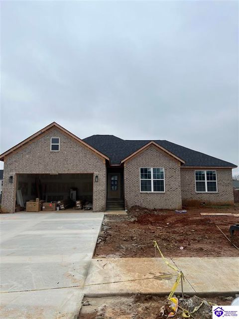 107 Blatina Drive, Vine Grove, KY 40175 - #: HK25002477