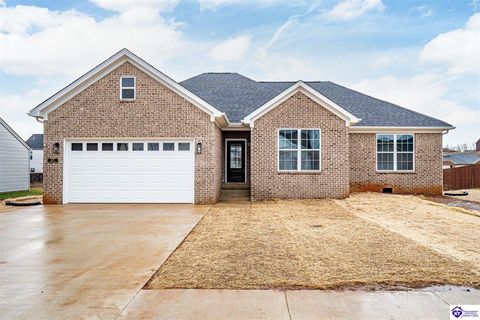 107 Blatina Drive, Vine Grove, KY 40175 - #: HK25002477