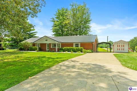 1402 Deckard School Road, Rineyville, KY 40162 - #: HK25003348