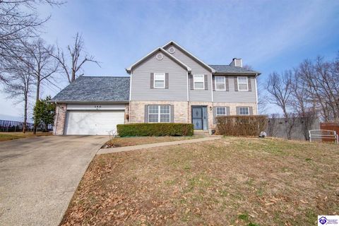 140 Joy Court, Radcliff, KY 40160 - #: HK25000845