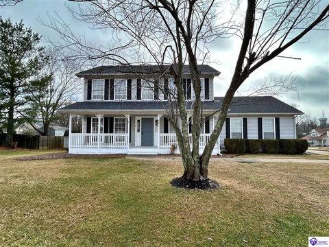 401 Turnberry Way, Elizabethtown, KY 42701 - MLS#: HK25000923