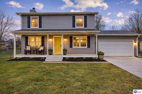 215 Darrell Drive, Elizabethtown, KY 42701 - #: HK2601336
