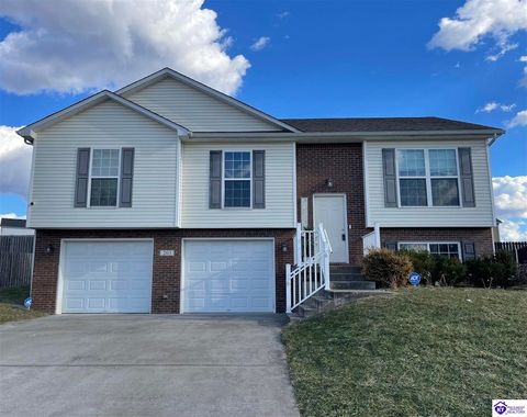 203 Huckaberry Street, Elizabethtown, KY 42701 - MLS#: HK25000629
