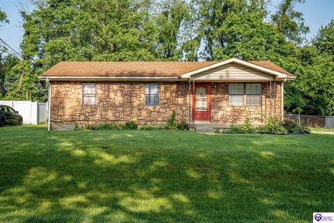 109 Debbie Drive, Vine Grove, KY 40175 - #: HK25003231