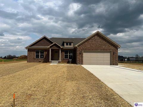 224 Open Meadows Dr, Bardstown, KY 40004 - MLS#: HK25001236