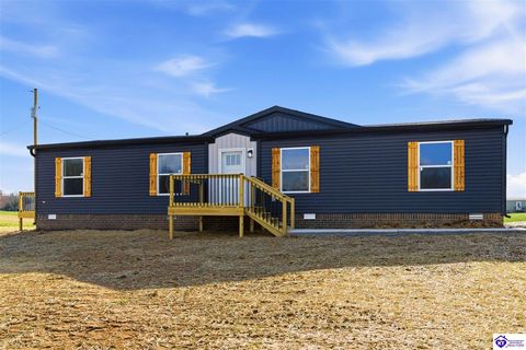 4444 Woodland Road, Vine Grove, KY 40175 - #: HK2600537