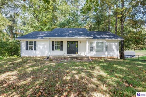 16 Princess Court, Elizabethtown, KY 42701 - #: HK25004473