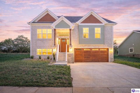 236 Wild Deer Drive, Elizabethtown, KY 42701 - #: HK25004323