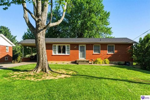 320 Mercer Street, Elizabethtown, KY 42701 - #: HK2601618