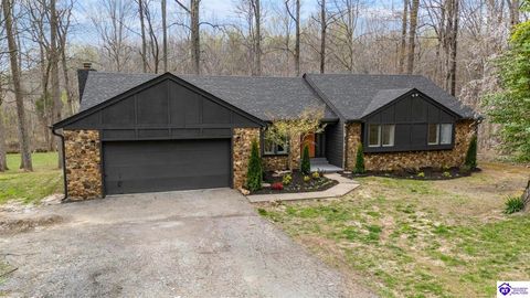 328 Thicket Drive, Elizabethtown, KY 42701 - #: HK2602468