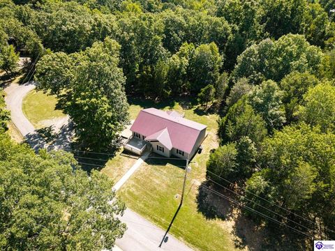 32 Hickory Hills Court, Brandenburg, KY 40108 - #: HK25003712