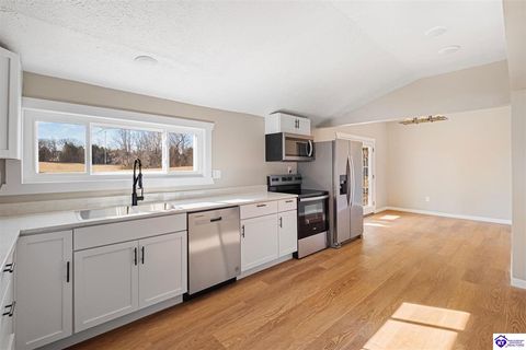115 N Pleasant Hill Road, Upton, KY 42784 - MLS#: HK25000583
