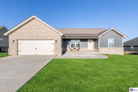307 Valhalla Trace, Vine Grove, KY 40175 - #: HK2600630
