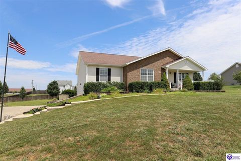 76 W Delia Way, Rineyville, KY 40162 - #: HK24002509