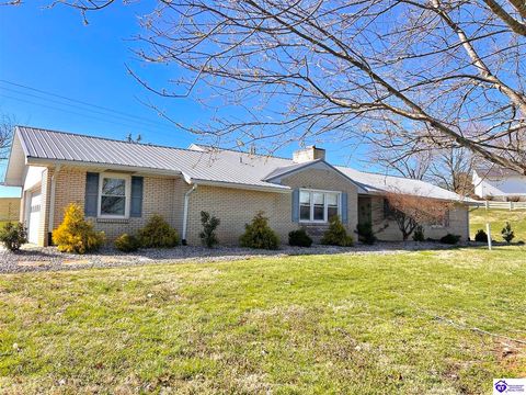 4685 New Columbia Road, Campbellsville, KY 42718 - MLS#: HK25001016