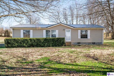 672 Whickerville Road, Hardyville, KY 42746 - #: HK2600159
