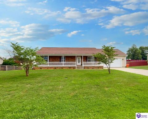 59 Collinbrook Drive, Rineyville, KY 40162 - #: HK24002524