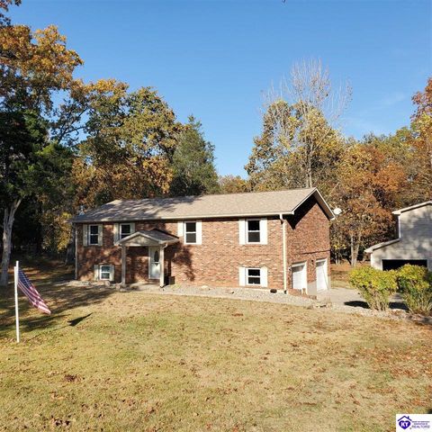 929 Hickory Drive, Vine Grove, KY 40175 - #: HK25004733
