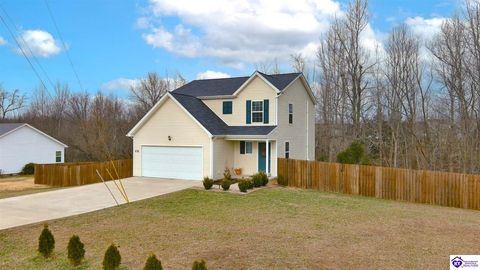131 Flushing Meadows Drive, Rineyville, KY 40162 - #: HK2600705
