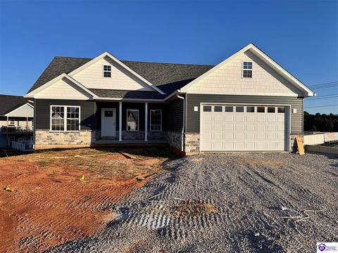 87 Betty Boyd Lane, Brandenburg, KY 40108 - #: HK25002624