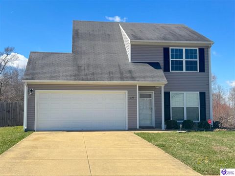 220 Blossom Lane, Elizabethtown, KY 42701 - MLS#: HK25001118